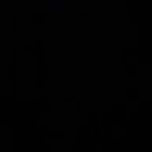 Meet your Posher, Bagchaser